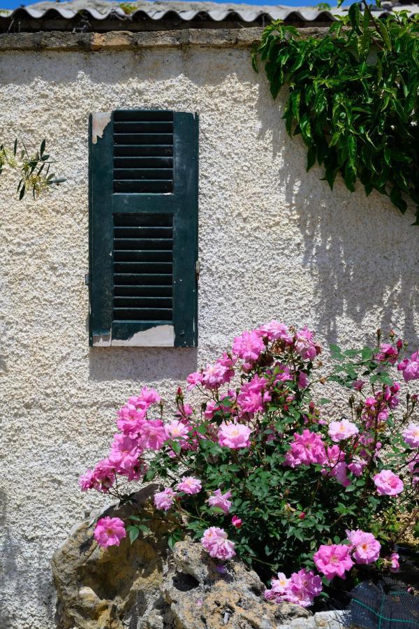 Harmony Corfu Apartments & Studios Exteriér fotografie